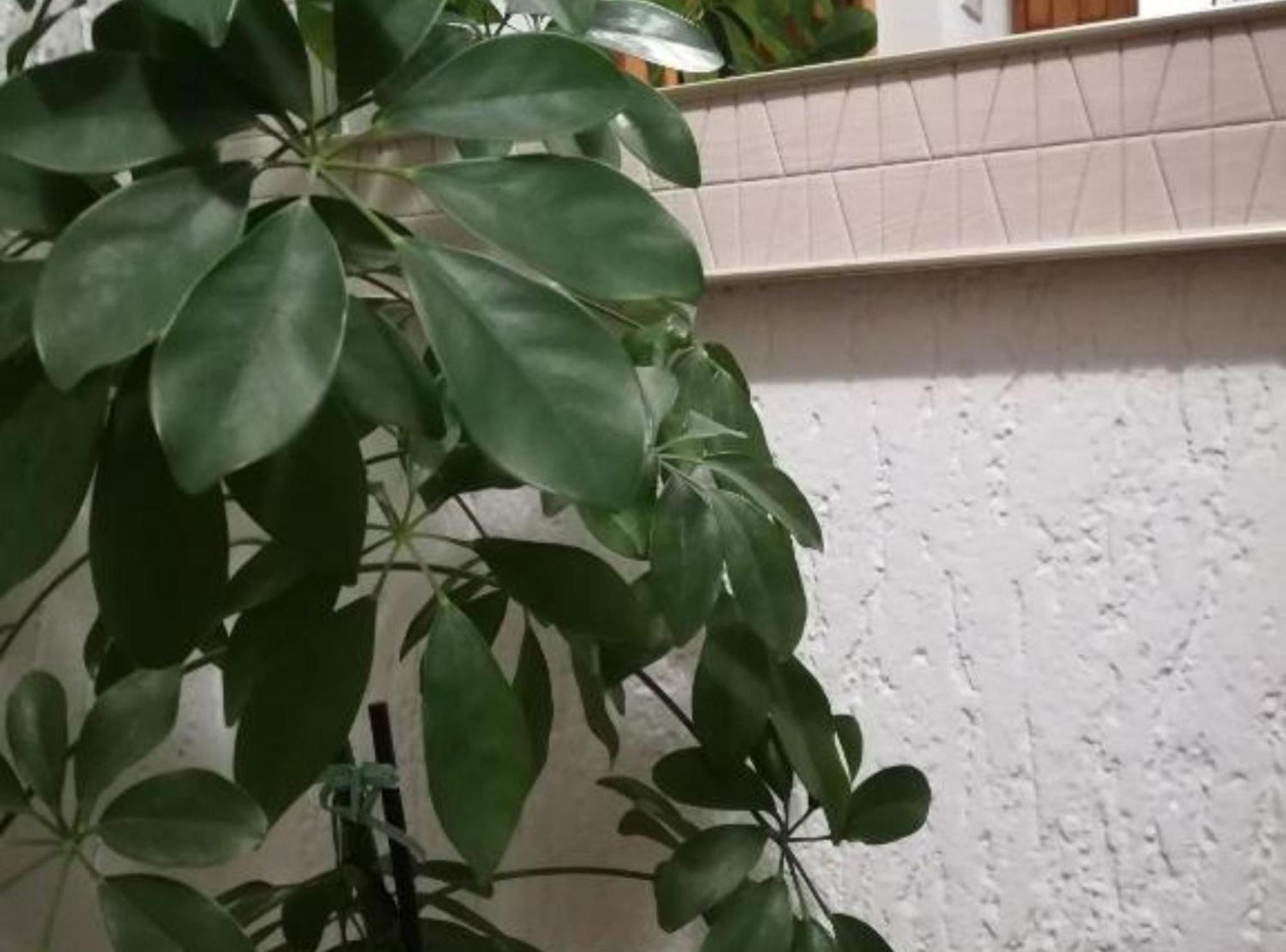 Apartman Olymp Osijek-Garaza Zewnętrze zdjęcie