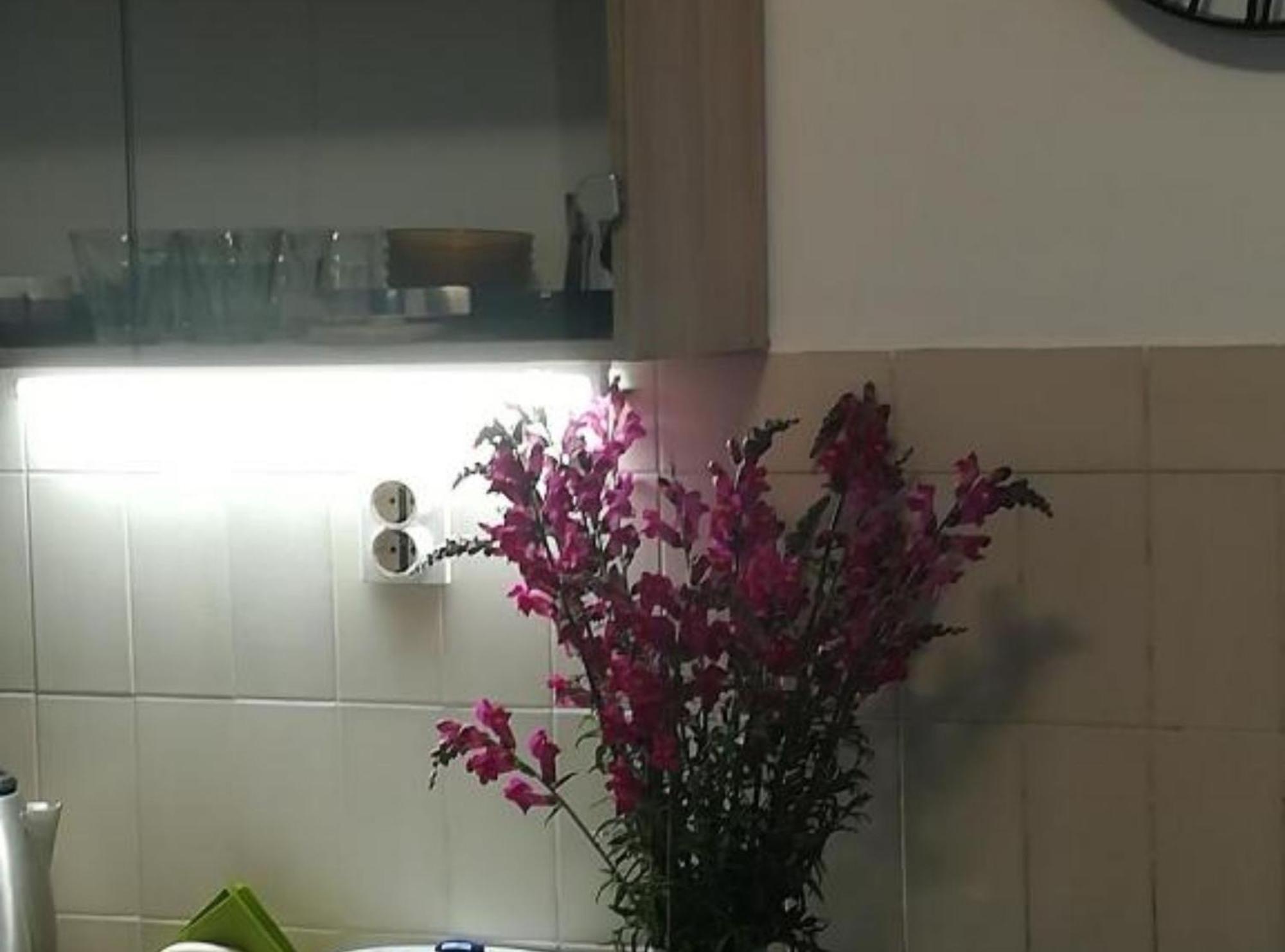 Apartman Olymp Osijek-Garaza Zewnętrze zdjęcie